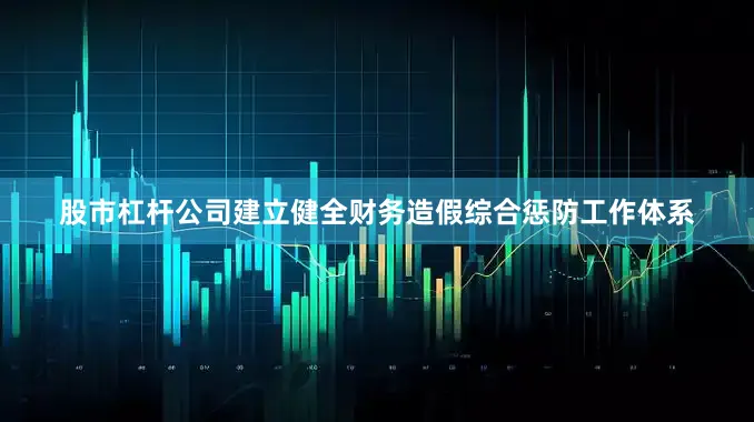 股市杠杆公司建立健全财务造假综合惩防工作体系