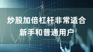 炒股加倍杠杆非常适合新手和普通用户